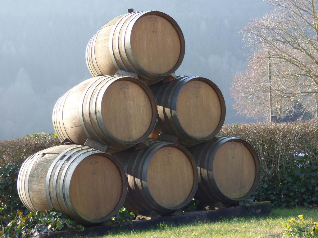 Relaxen Im Alten Winzerhaus Fewo Og Rech Bagian luar foto